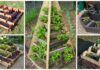 DIY Vertical Pyramid Tower Raised Garden Beds DIY Vertical Pyramid Tower Raised Garden BedsDIY Vertical Pyramid Tower Raised Garden Beds