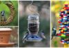 20 DIY Bird Feeder Projects to Bring Life in Your Garden 20 DIY Bird Feeder Projects to Bring Life in Your Garden