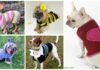 12 Dog Sweater Crochet Free Patterns Dog Sweater Crochet Free Patterns DIY Instructions