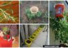 9 Gardener’s Gardening Tips to Grow Tomatoes Harvest In Containers Gardening Tips to Grow Tomatoes In Containers: How to Grow and Harvest Tomato in Container Gardening